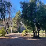 Cabana Radal Siete Tazas