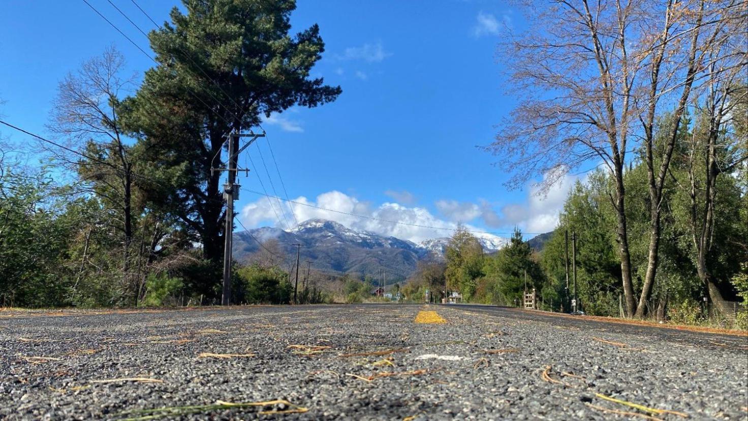 Radal Siete Tazas El Torreon