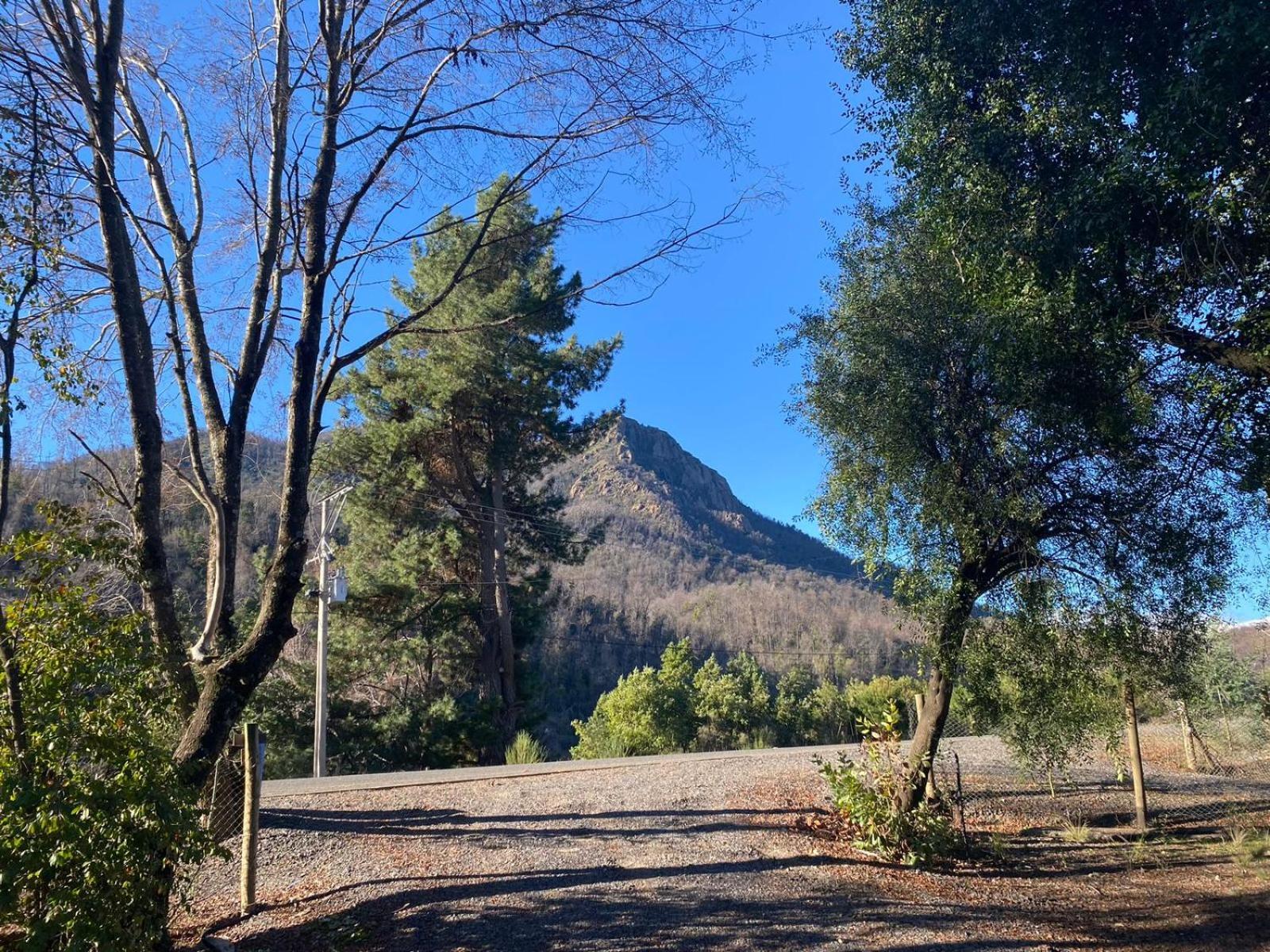 Radal Siete Tazas El Torreon